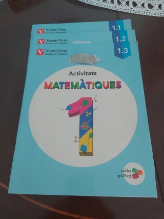 MATEMATIQUES 1 (1.1-1.2-1.3) ACTIVITATS (AULA ACTI