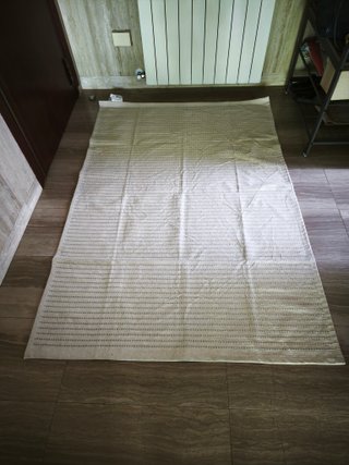 Alfombra Ikea STARREKLINTE 120x180 cm