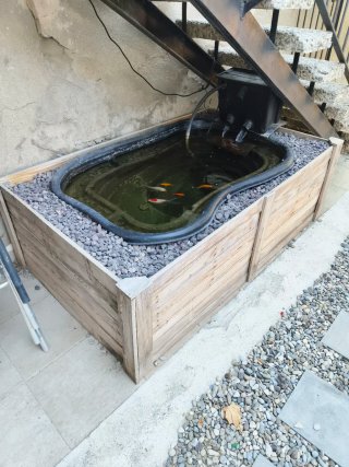 Estanque 250L con bomba