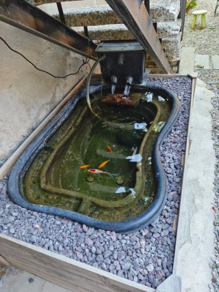 Estanque 250L con bomba