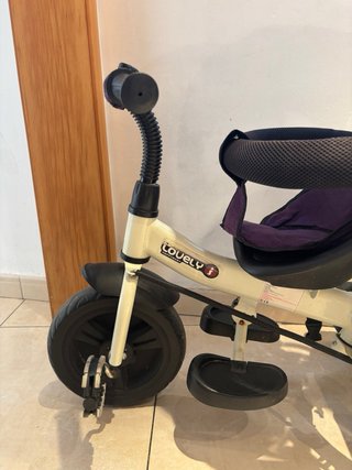 Triciclo Evolutivo HomCom Morado