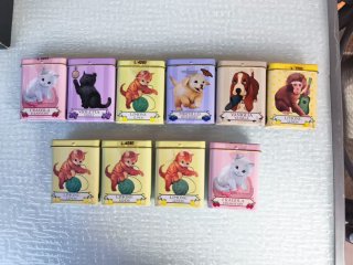 Scatole Latta Leone Teneri Cuccioli 8 Pezzi