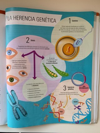 Biologia y geologia, 4 ESO De otra manera