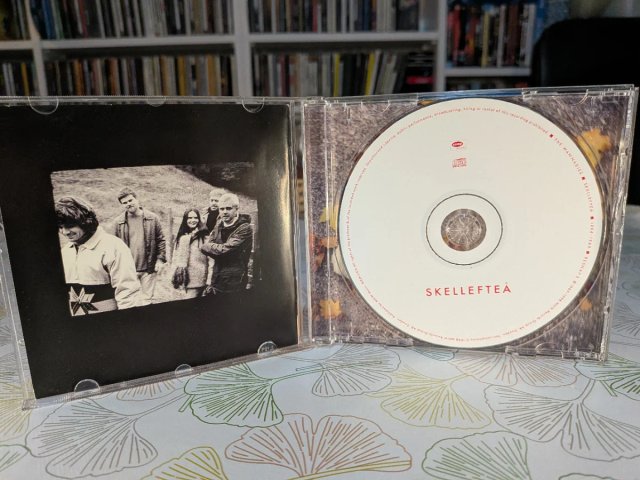 The Wannadies Skelleftea Best Of 1994-1989 CD