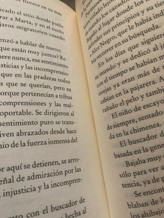 El buscador de sueños