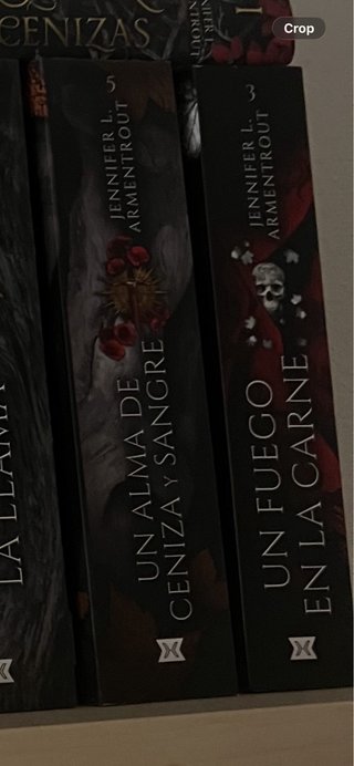 Dos libros de sangre y cenizas