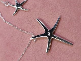 Conjunto Plata Estrella de Mar