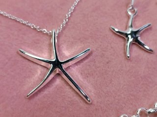 Conjunto Plata Estrella de Mar