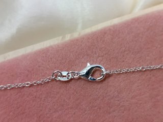 Conjunto Plata Estrella de Mar
