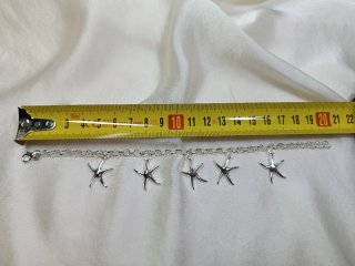 Conjunto Plata Estrella de Mar