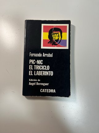 Libro lectura