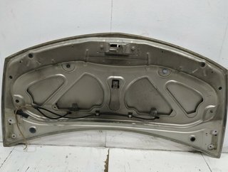 563766 capot renault clio iii rs 20 aniversario