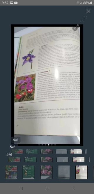 EL GRAN LIBRO DE LA JARDINERÍA