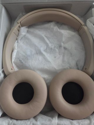De los dos auriculares que se muestran en la foto.