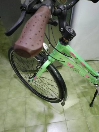 Bicicleta de paseo Wolfbike verde