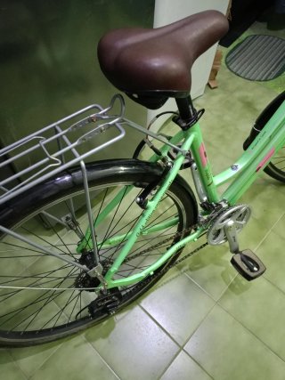 Bicicleta de paseo Wolfbike verde