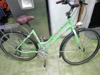 Bicicleta de paseo Wolfbike verde