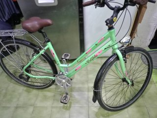 Bicicleta de paseo Wolfbike verde