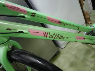 Bicicleta de paseo Wolfbike verde