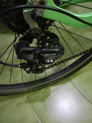 Bicicleta de paseo Wolfbike verde