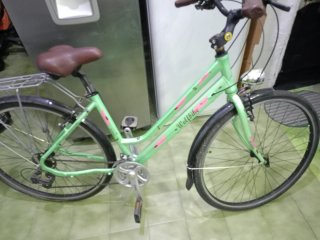 Bicicleta de paseo Wolfbike verde
