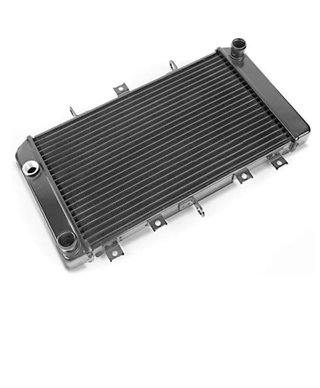 Radiador Agua Kawasaki Z750 2004/2005/2006