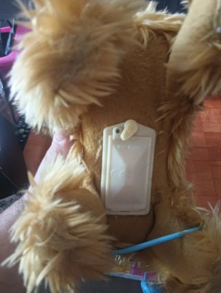 Pocoyó en coche y perrito que anda