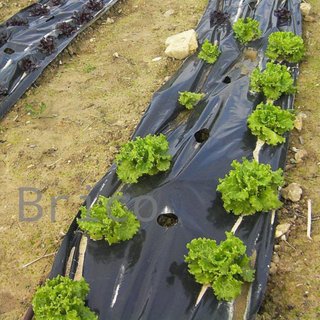 Plástico Negro Agricultura Obra G700 - 1/4 - 4X100 Metros