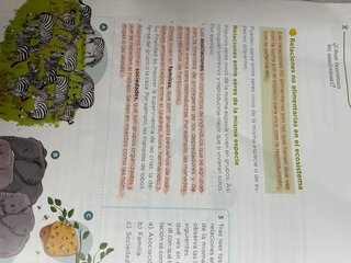 Ciencias de la Naturaleza 4