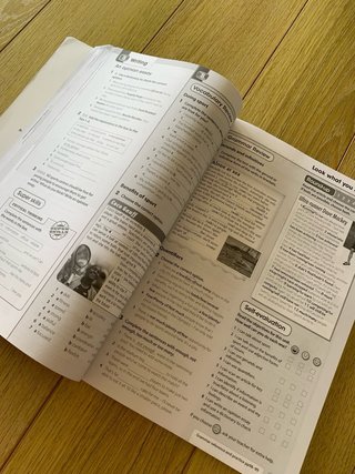 LIBRO WORKBOOK INFLUENCE TODAY 4