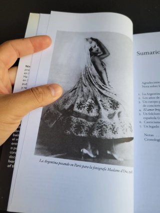 El flamenco y la vanguardia española