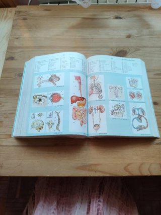 Diccionario de la lengua española para Primaria