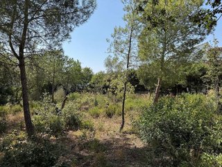 Terreno en venta en Nord en Roses
