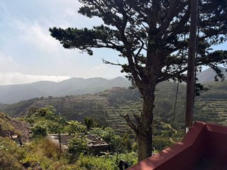 Chalet en alquiler en Buenavista del Norte