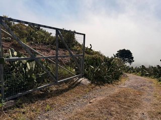 Chalet en alquiler en Buenavista del Norte