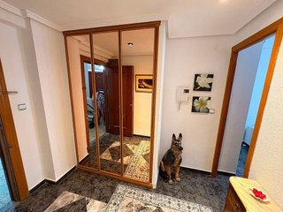 Piso en alquiler en Les Tendetes en Valencia