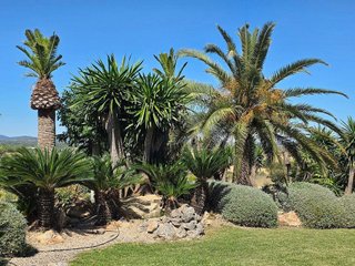 Casa rural en alquiler en Manacor Centro en Manacor