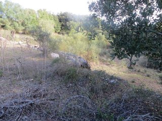 Terreno en venta en Artà en Artà
