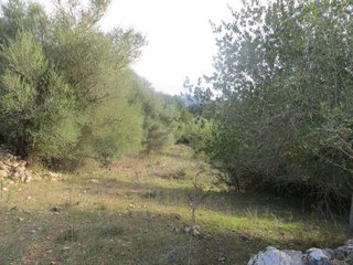 Terreno en venta en Artà en Artà