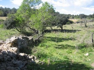 Terreno en venta en Artà en Artà
