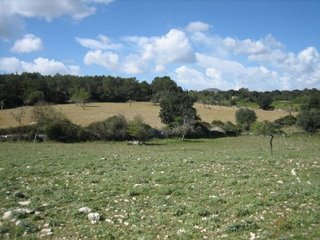 Terreno en venta en Artà en Artà