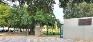Local comercial en venta en Daimiel