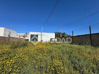 Nave industrial en venta en Las Palmeras-Dehesilla en Sanlúcar de Barrameda