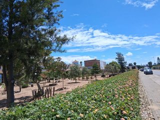 Solar en venta en La Jara en Sanlúcar de Barrameda