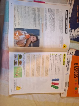Lengua Castellana y Literatura 5, Tercer Ciclo ...