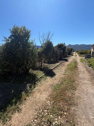 Terreno en venta en Pego