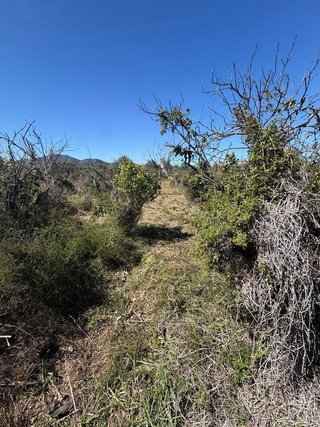 Terreno en venta en Pego