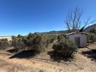 Terreno en venta en Pego