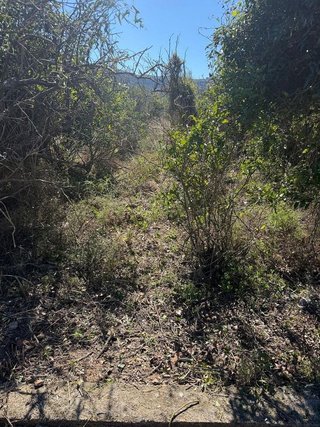 Terreno en venta en Pego