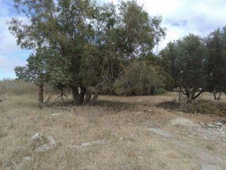 Solar en venta en Las Canteras - El Almendral en Puerto Real